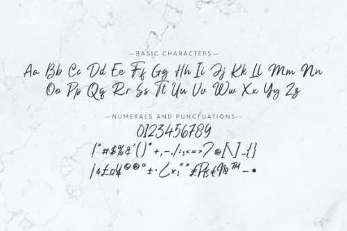 Beautifully Script Font