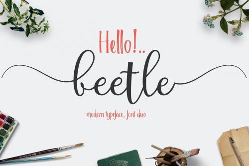 Beetle Duo Font