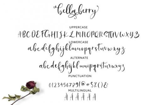 Bella Berry Calligraphy Font