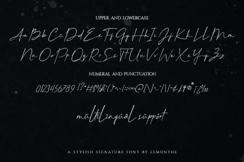 Belligiant Script Font