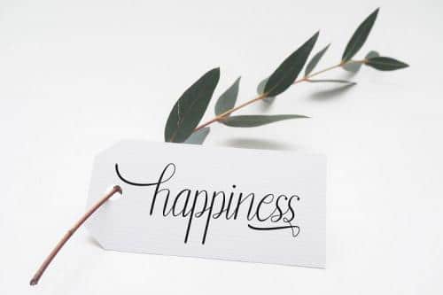 Belynti Calligraphy Font