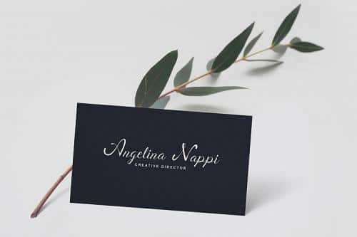 Berlyna Modern Script Font