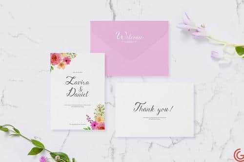 Berlyna Modern Script Font