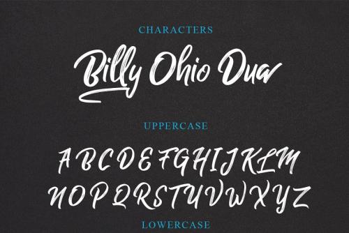 Billy Ohio Brush Font