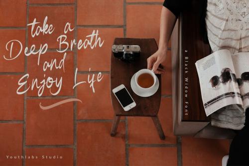 Black Widow Script Font