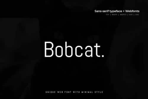 Bobcat Sans Serif Font