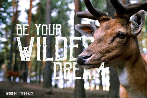 Bohem Typeface