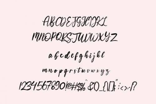 Bohemian Calligraphy Font