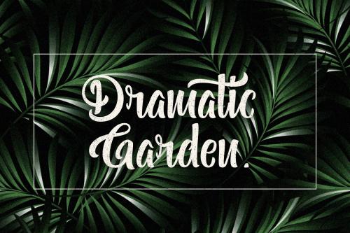 Bohemian Melody Calligraphy Font