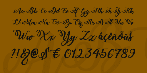 Bold Stylish Calligraphy Font