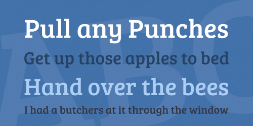 Bree Serif Font