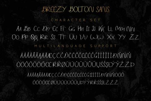 Breezy Bolton Script Font Duo