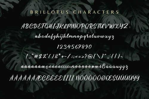 Brillotus Hand lettered Font