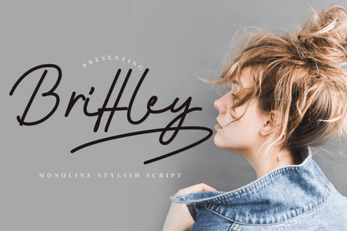 Brittley Monoline Script Font