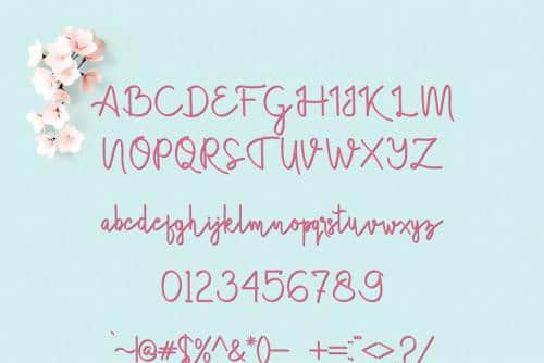 Brush Stroke Bonus Font