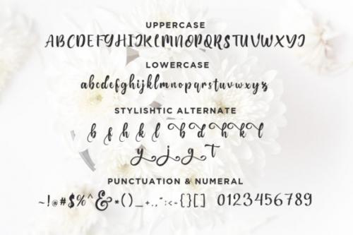 Bungalow Calligraphy Font