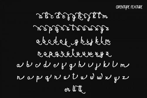 Butterfly Script Design Font