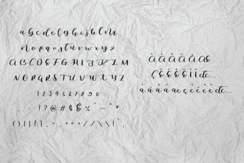 Camelia Glow Calligraphy Font