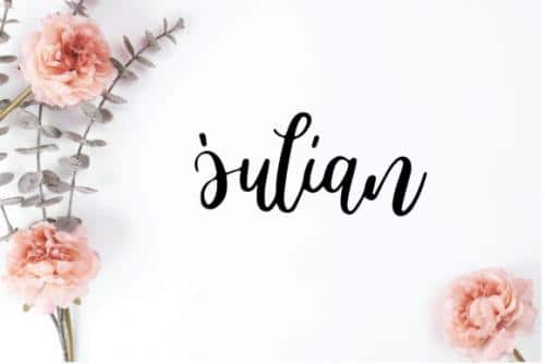 Camelia Glow Calligraphy Font