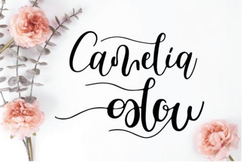 Camelia Glow Calligraphy Font