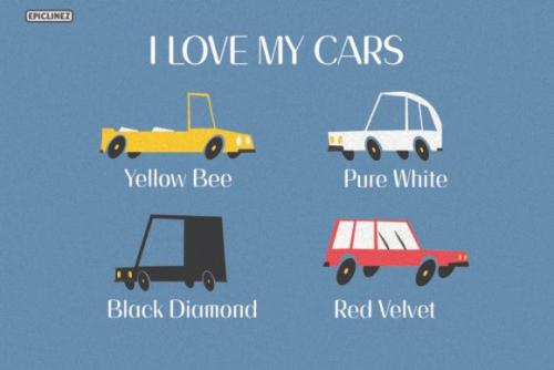 Cats and the CIty Sans Serif Font