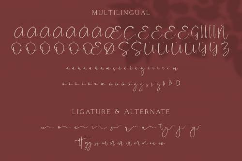 Cattus Script Font
