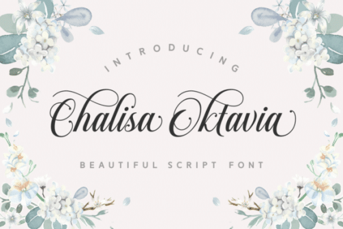 Chalisa Oktavia Calligraphy Font