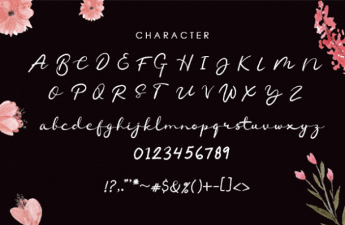 Chamelon Handwritten Font