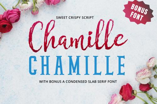 Chamille Sweet Script Font