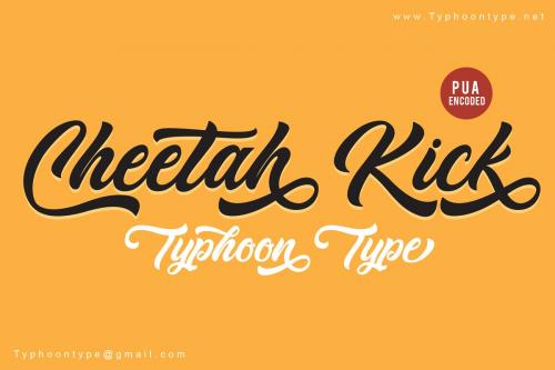 Cheetah Kick Font