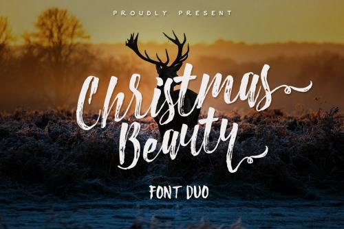 Christmas Beauty Brush Font