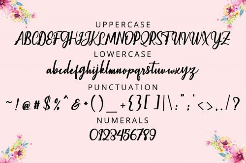 Christopher Script Font
