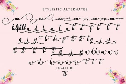 Christopher Script Font