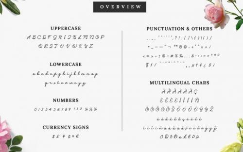 Clara Sydney Handwritten Font