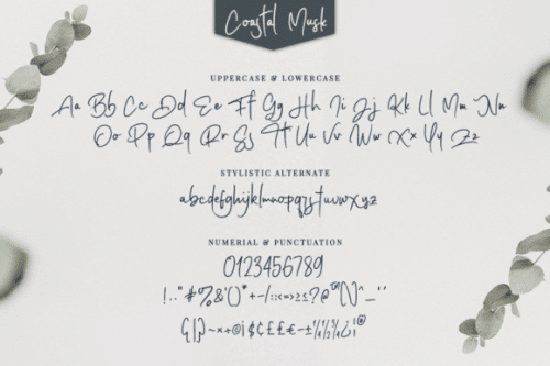 Coastal Musk Handwritten Font