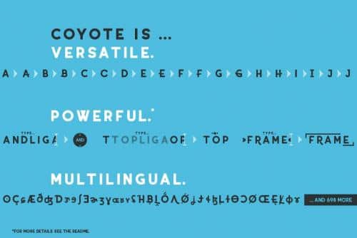 Coyote Sans Serif Font