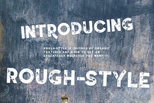 Coyote Sans Serif Font