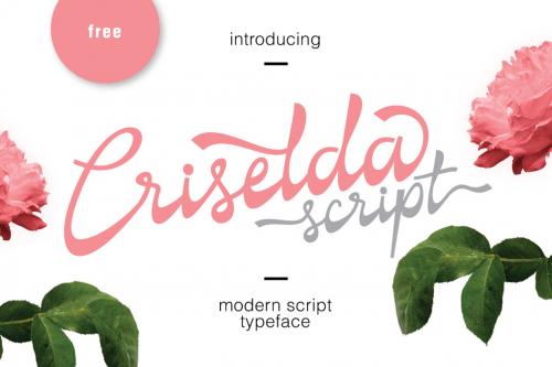 Criselda Script Font