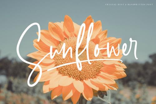 Crystal Dust Script Font
