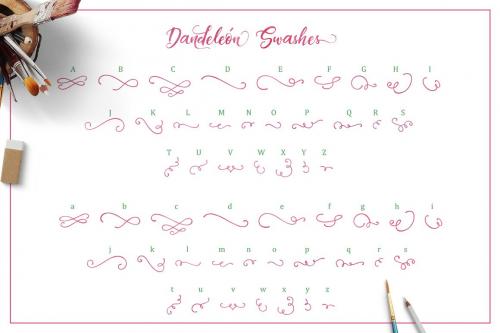 Dandeleon Brush Script Font