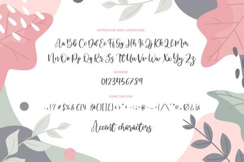 Dandelion Script Font