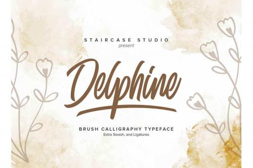 Delphine Brush Typeface
