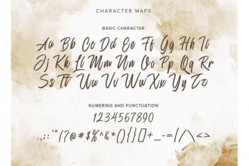 Delphine Brush Typeface