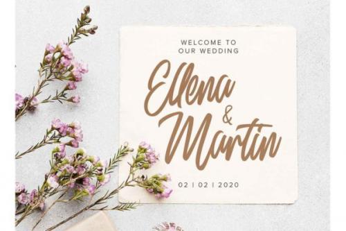 Delphine Brush Typeface