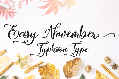 Easy November Script Font