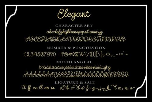 Elegant Script Font