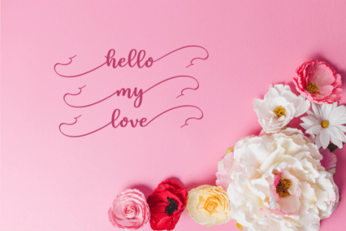 Feather Modern Script Font