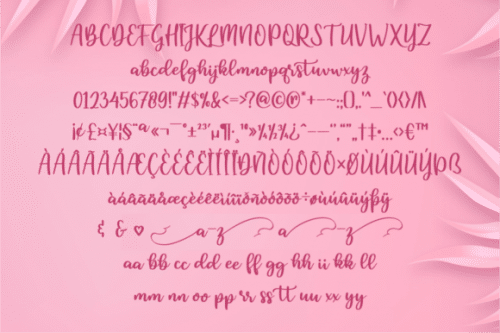 Feather Modern Script Font