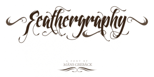 Feathergraphy Typeface Font