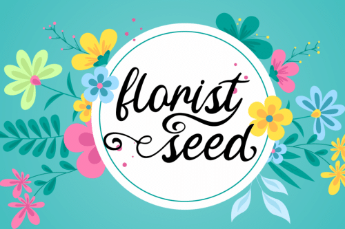 Fine Spring Calligraphy Font